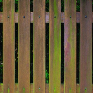 Clôture en bois verdie