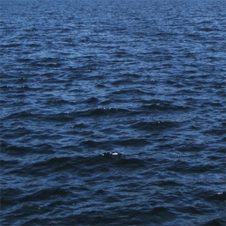Mer bleu foncé
