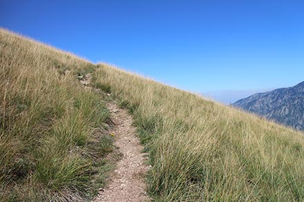 Herbe sèche et graminées de montagne