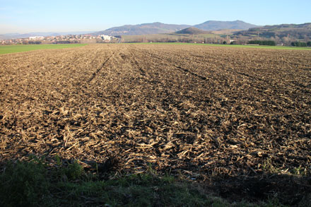 Champ agricole de terre et paille en hiver