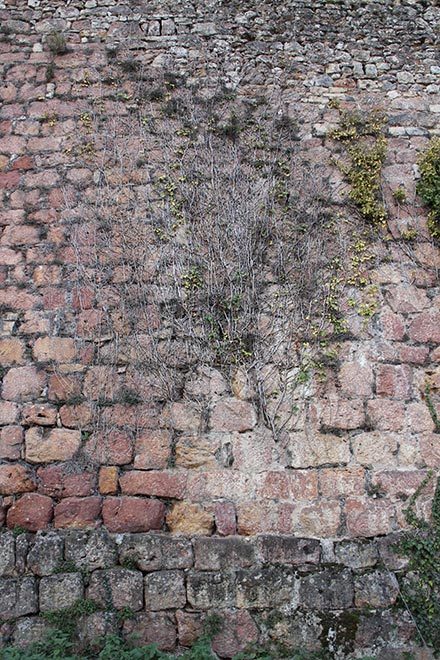 Vieux mur de pierre